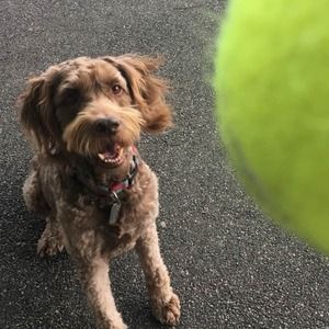 Meet your Posher, Julie